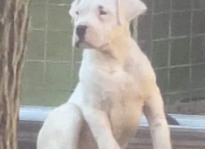 viberimage202102262031631614434533