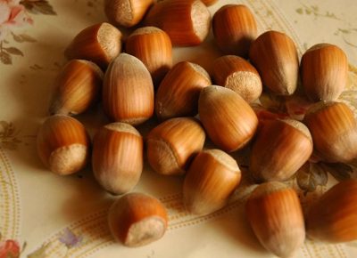 viberslika202102171348283manja1613938156