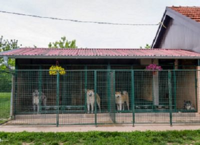 x12SasaAkita1612260200