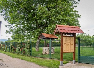 x13SasaAkita1612260200