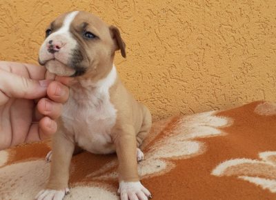 1594732204346942009288325118726694100774351n1615391927