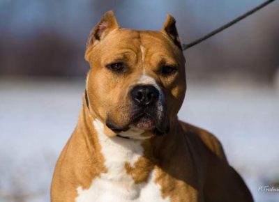 1594732204346942009288325118726694100774352n1615391926