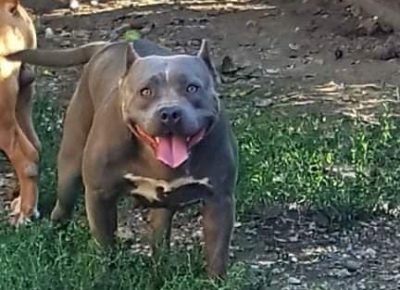 1594732204346942009288325118726694100774353n1615391926