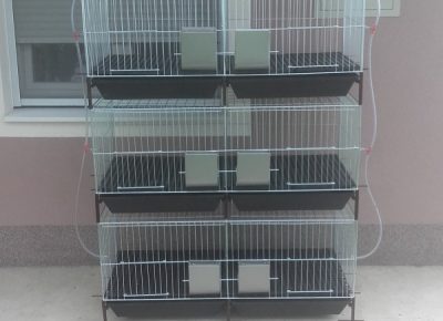 201808011306531616791827