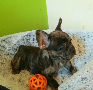 202103111419070061616414613