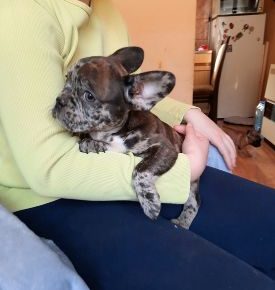 20210311145127020saved1616885697