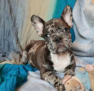 202103111454130101616414613