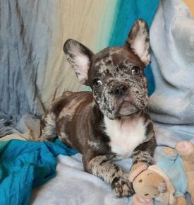 202103111454130101616885698