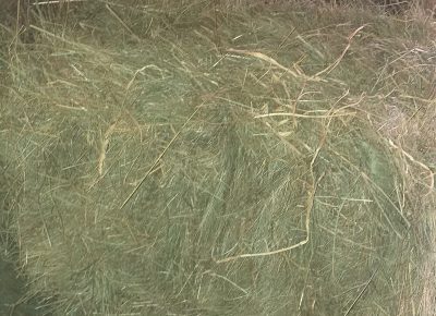 202103181112081616062748