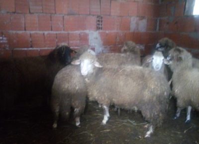 202103181402051616104815