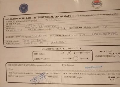 2nemackiovcar1616252807