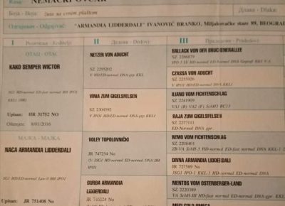 4nemackiovcar1616252812