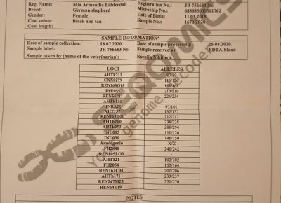 5nemackiovcar1616252815