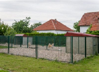 9Milojkovic1616284421