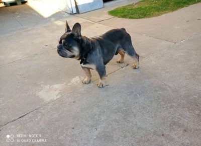 FBparenje21614706420