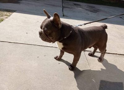 FBparenje31614706418