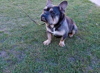 FBparenje41614706419