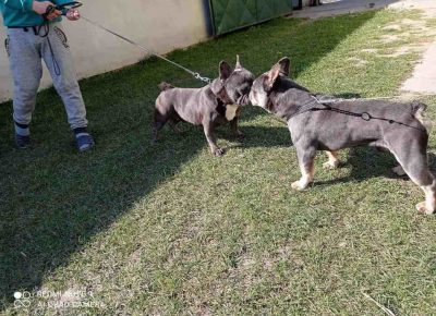 FBšaremke51614706419