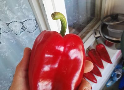 IMG201909010731171617005594