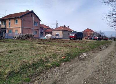 IMG20210309102453244HDR1615361811