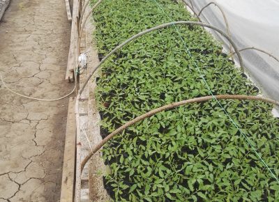 IMG202103281318031616960814