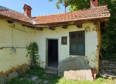 IMG314490bc45786b00764da86c74548f9bV1616088675