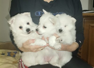 IMGbf6031387a9af2b767a5e05f19936f0dV1615285030