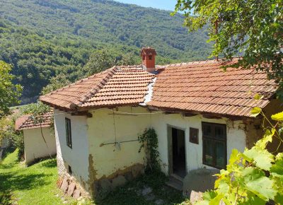 IMGffe73a90eddfcc7a683015d2ee0daef9V1616052334