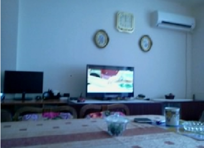 Screenshot51616716333