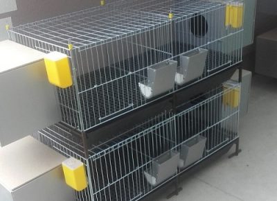 kavezizapilicekavezizakunice1616791812