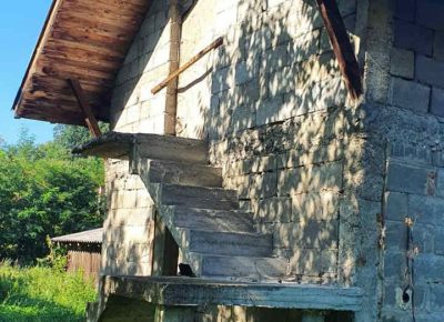 kućakralj101616667465