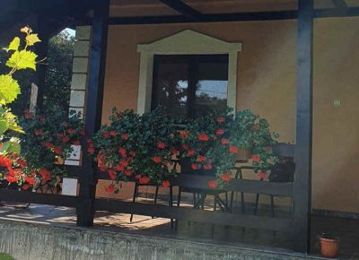 kućakralj31616667463