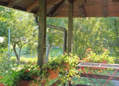 kućakralj41616667464