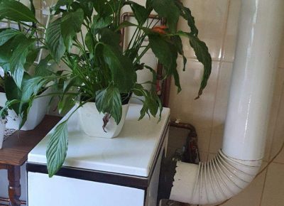 kućakralj51616667465