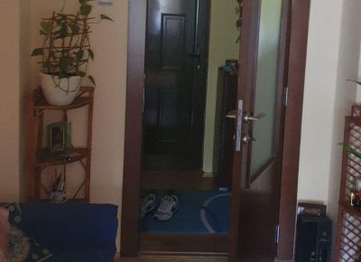 kućakralj61616667466