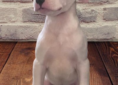 viberimage202102261925461615239834