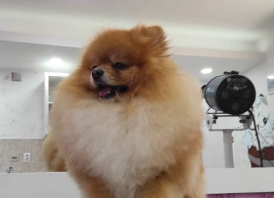 viberimage202103041340491614901136