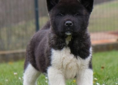 viberimage202103241039411616597240