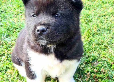 viberimage202103241039451616597242