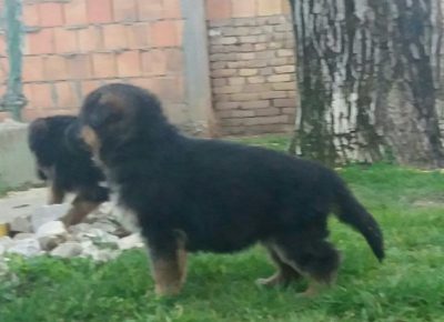 viberimage202103262107291616838834