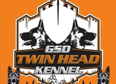 10nemackiovcar1619686916