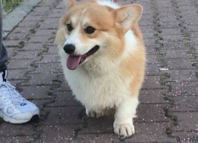 1172996208963928175500595890189987220212206n1619454244