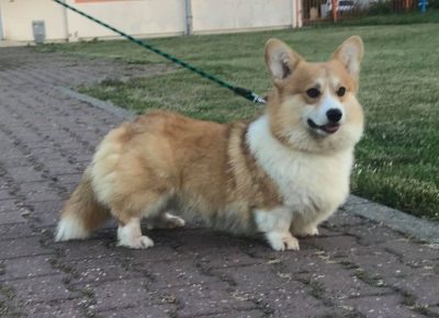 1172996208963928175500595890189987220212207n1619454245