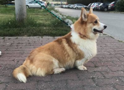 1172996208963928175500595890189987220212208n1619454246