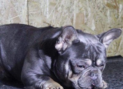 15084662728570390212317868235881599327285674n1619450785