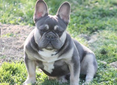 17620712813697313267178614468993988285831922n1619438077