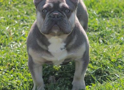 17620712813697313267178614468993988285831923n1619438077