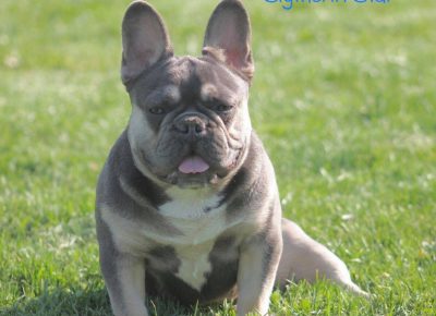 1770300318989749273135902210807471223579288n1619438076