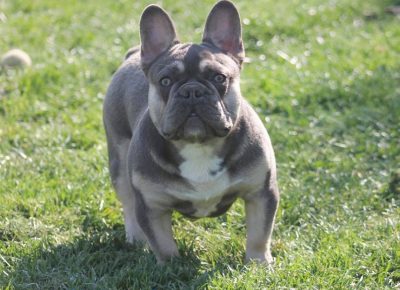 1770300318989749273135902210807471223579289n1619438077