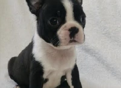 1Aleksandra21619435980